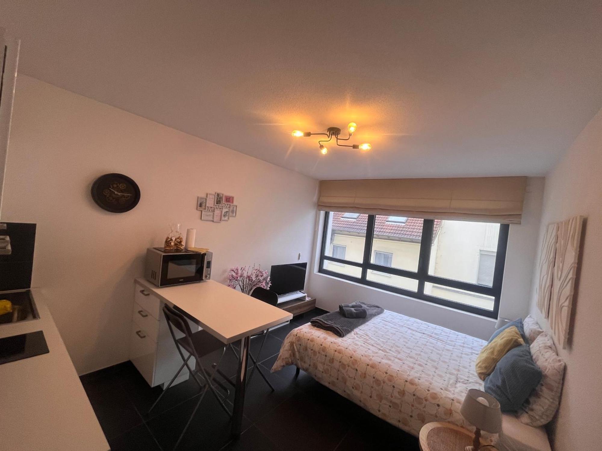 Apartmán Nid Douillet De La Pie Štrasburk Exteriér fotografie